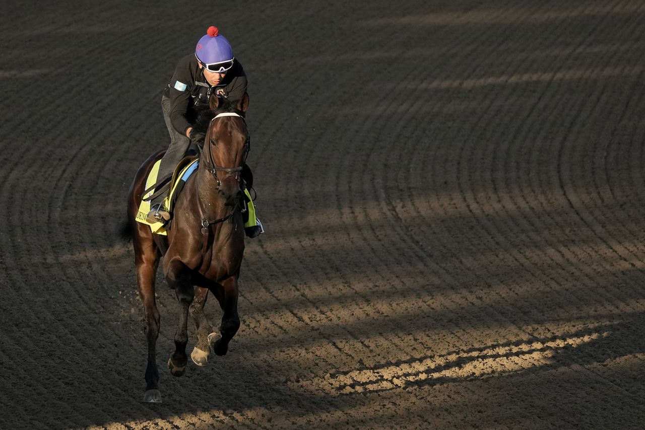 Confidence Game works out at Churchill Downs on Wednesday, May 3, 2023, in Louisville, Ky.