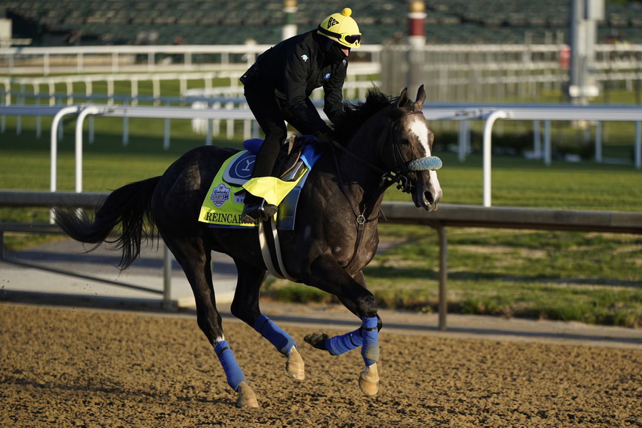 Reincarnate works out at Churchill Downs on Tuesday, May 2, 2023, in Louisville, Ky.