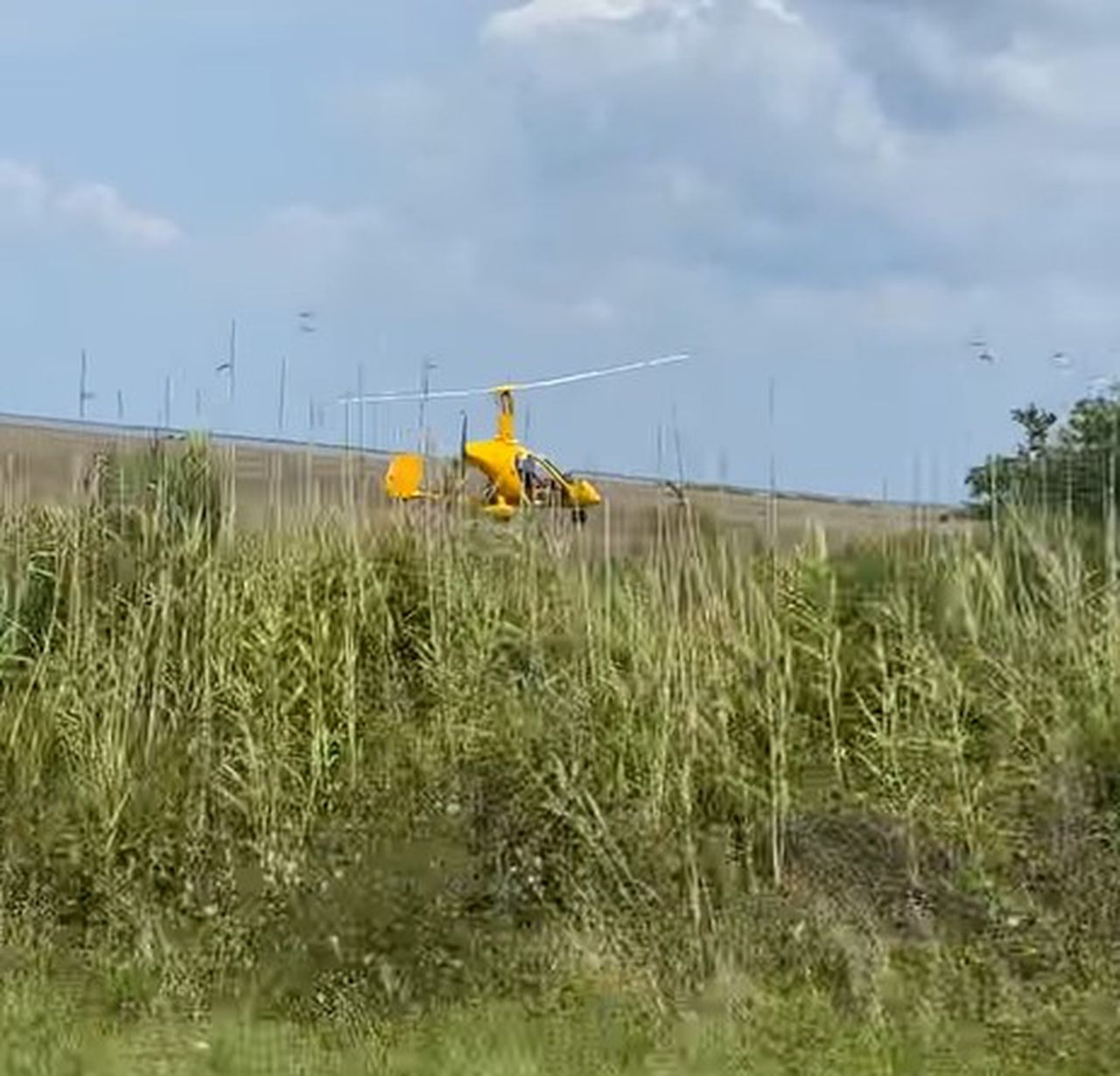 Mini helicopter crashes in Dauphin Island marsh; no serious injuries