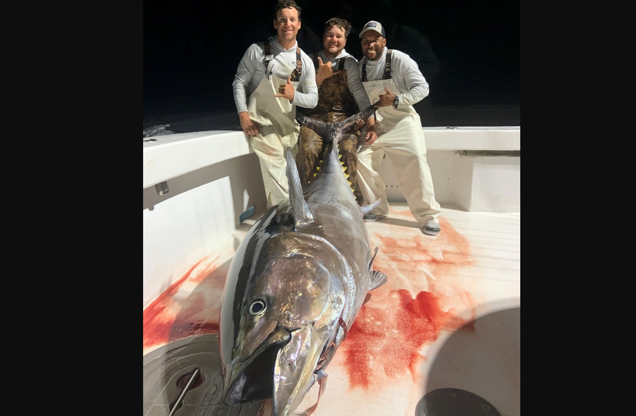 Orange Beach charter boat reels in 600-pound bluefin tuna: ‘It was a battle’