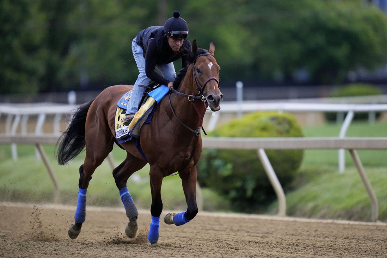 Preakness Stakes 2023: Look over Saturdayâs field