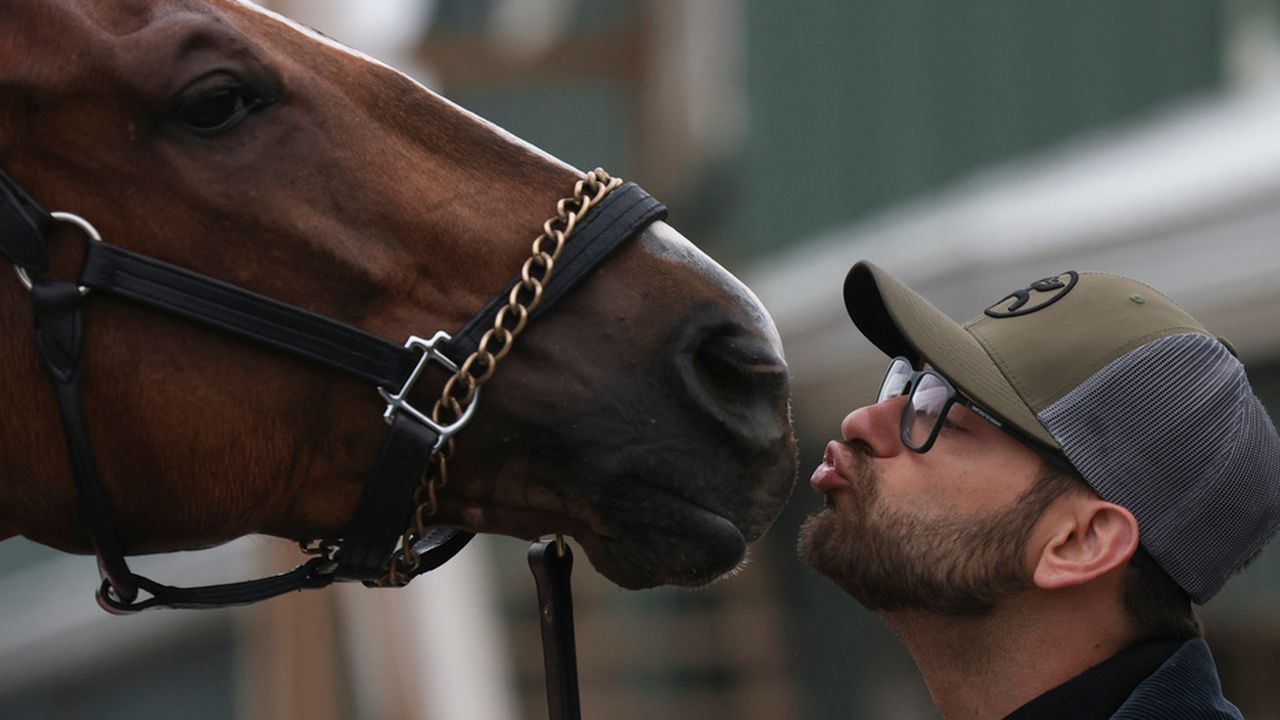 Preakness Stakes live stream: Watch the race online