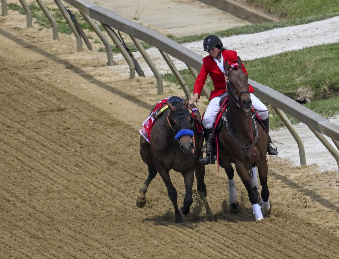 Race horseâs death hours before Preakness extends sportâs woes seen at Churchill Downs