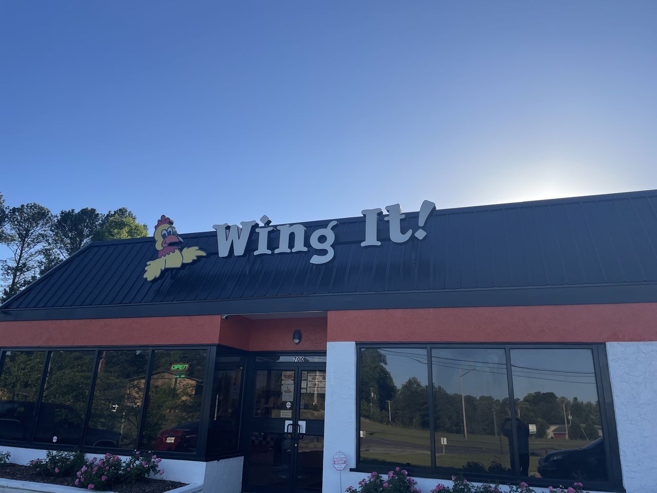 Wing It!