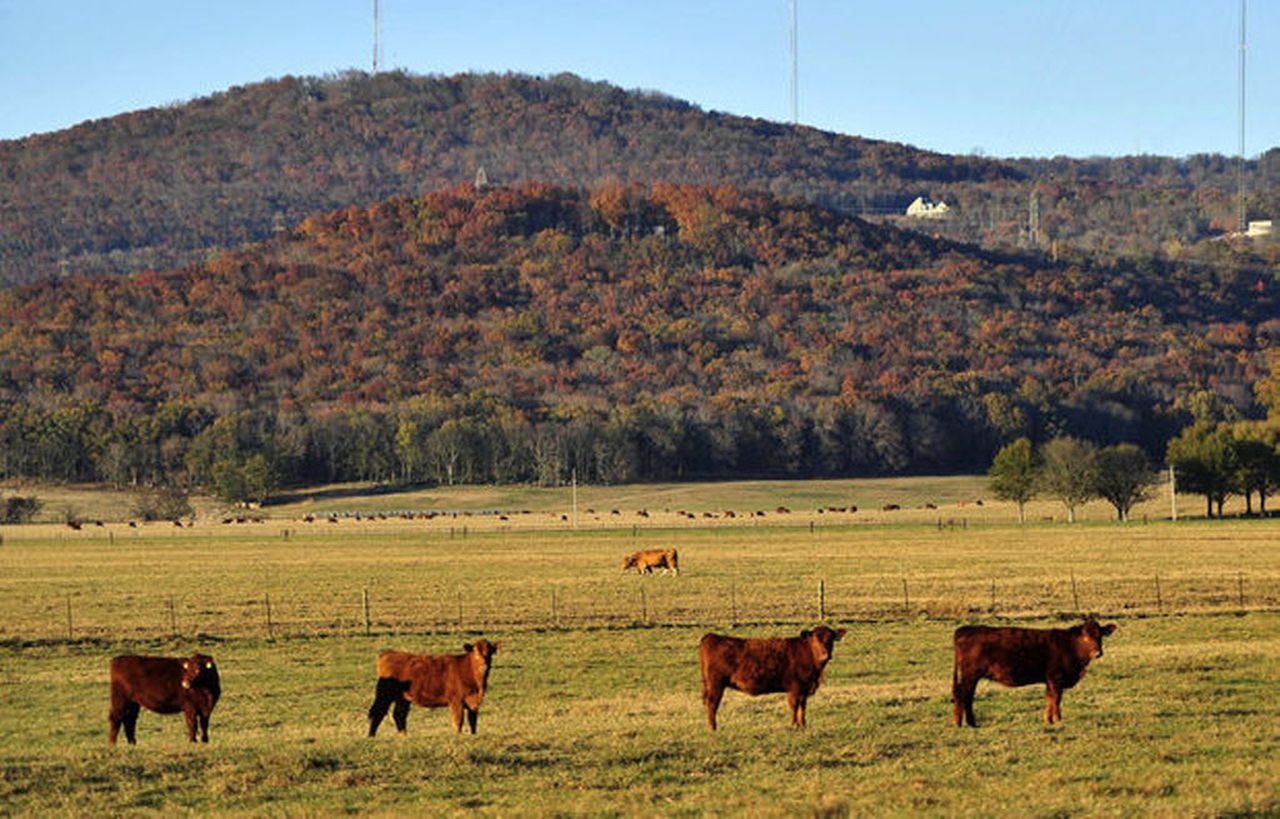 What’s happening in Huntsville’s Jones Valley? Family addresses changes