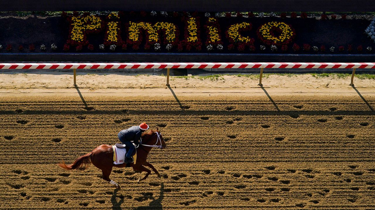 Which TV channel is the 2023 Preakness Stakes on?