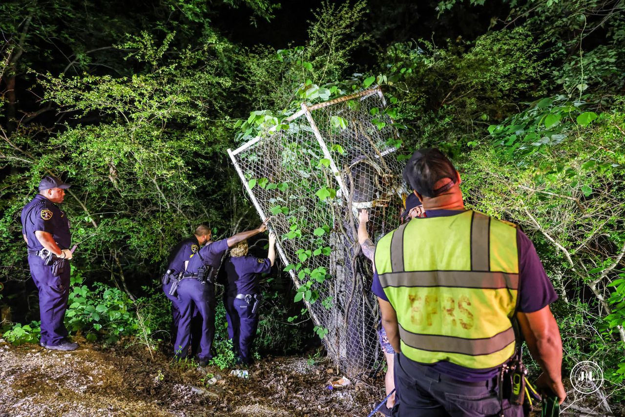 Woman in mental health crisis rescued from tree over Birmingham train tracks