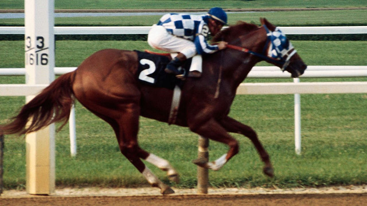 âA tremendous machine:â Secretariat's Belmont victory