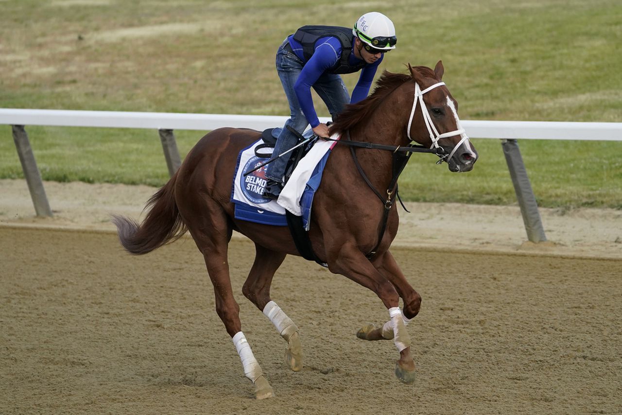 Belmont Stakes 2023: Look over Saturdayâs field