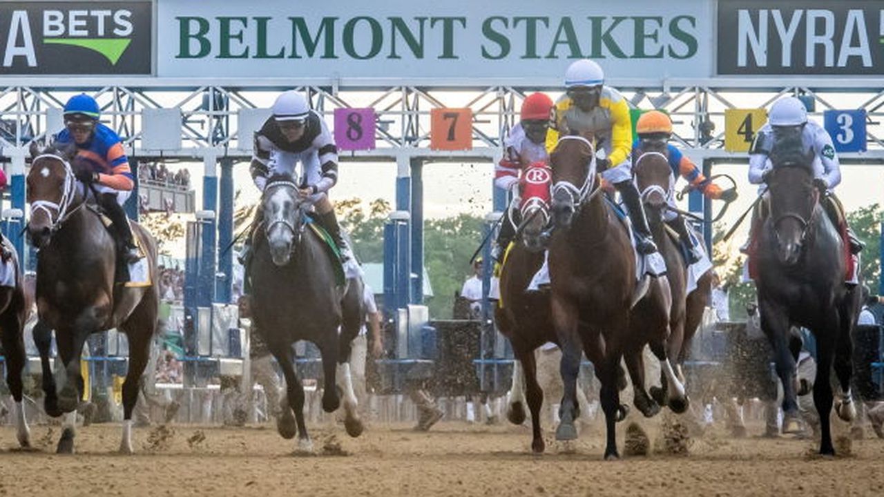 Belmont Stakes: Meet the contenders and watch them run