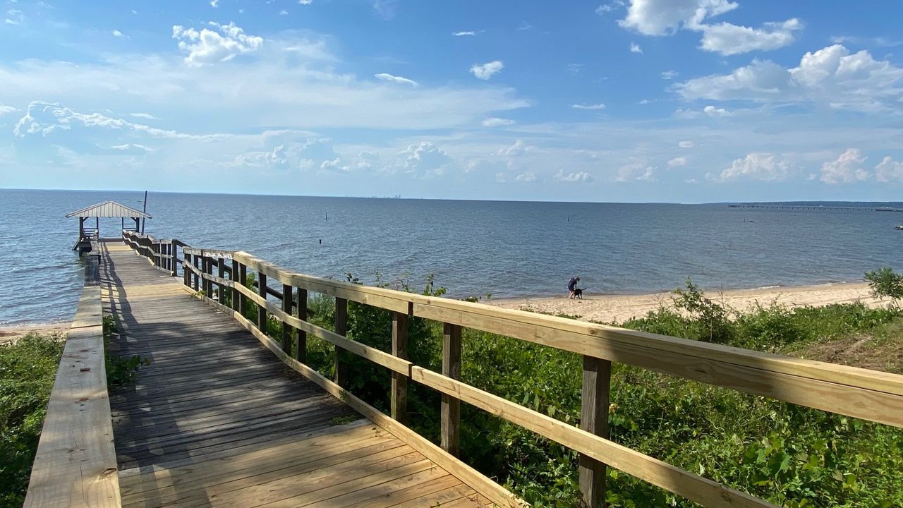 Heavy rains cause increase in bacteria levels in coastal Alabama waters