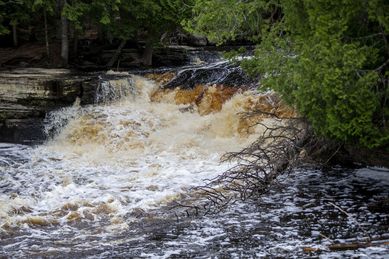 Michigan park delivers epic burn after vandalism: Boardwalk will last âlonger than your relationshipâ