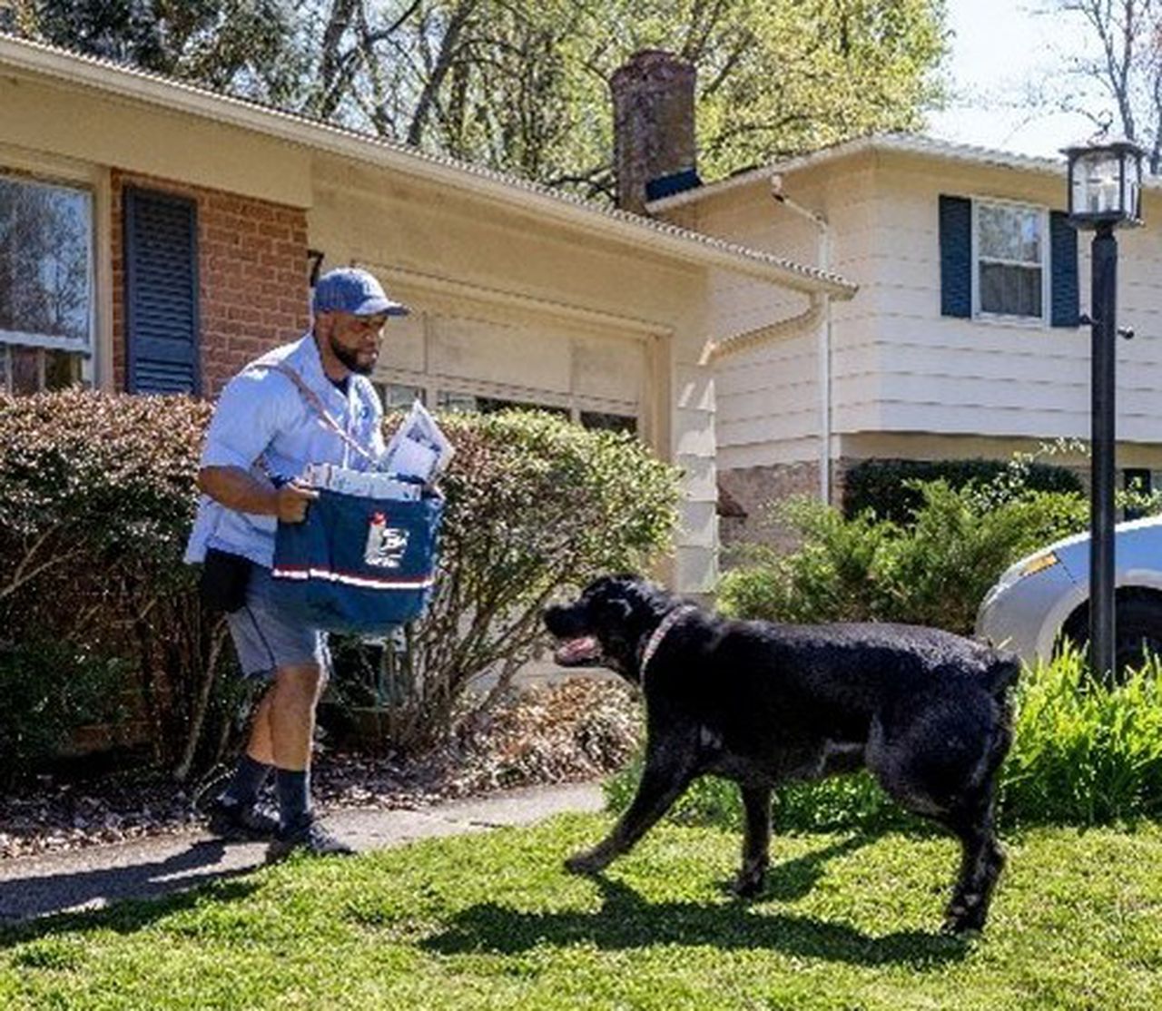 Postal service issues warning about hazard that can prevent mail delivery