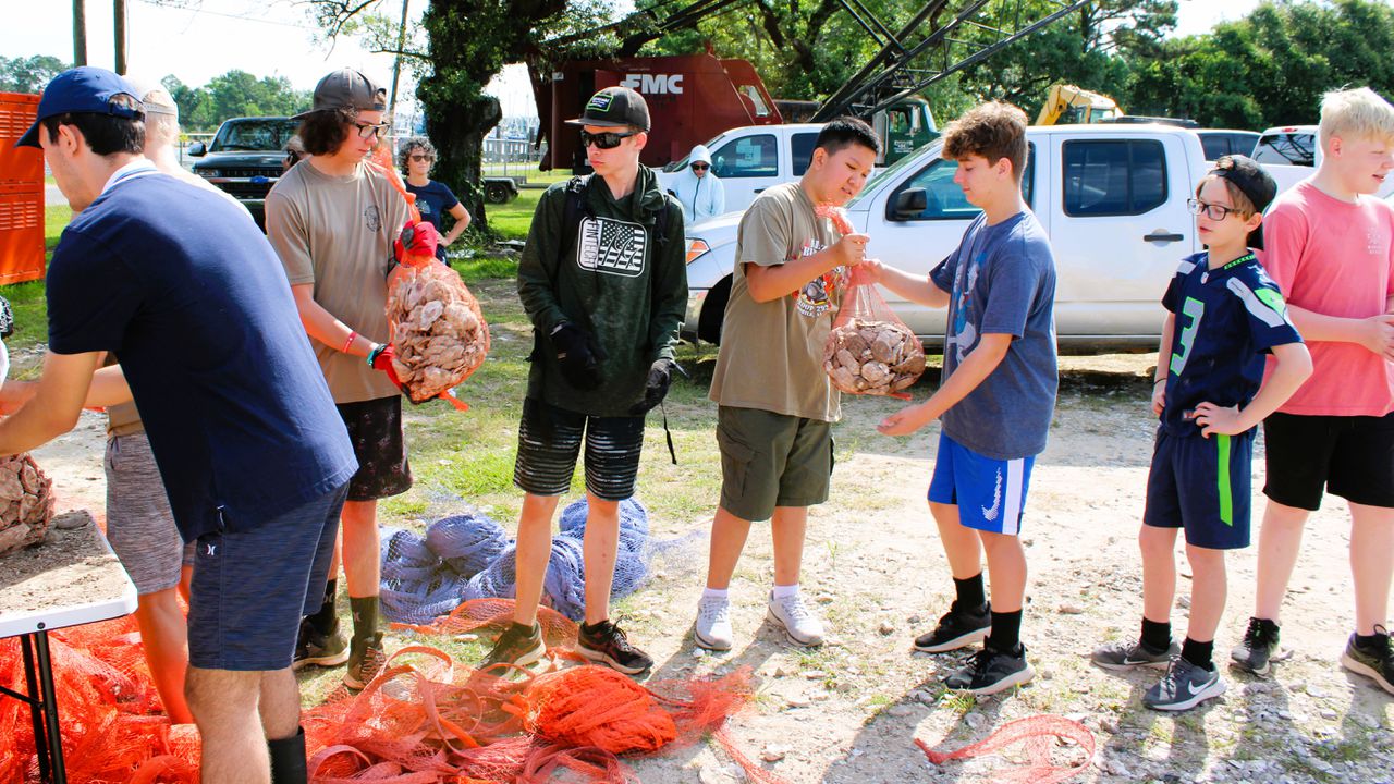 The main purpose of the research is to find ways to improve the survival rates of oysters used to establish new reefs.