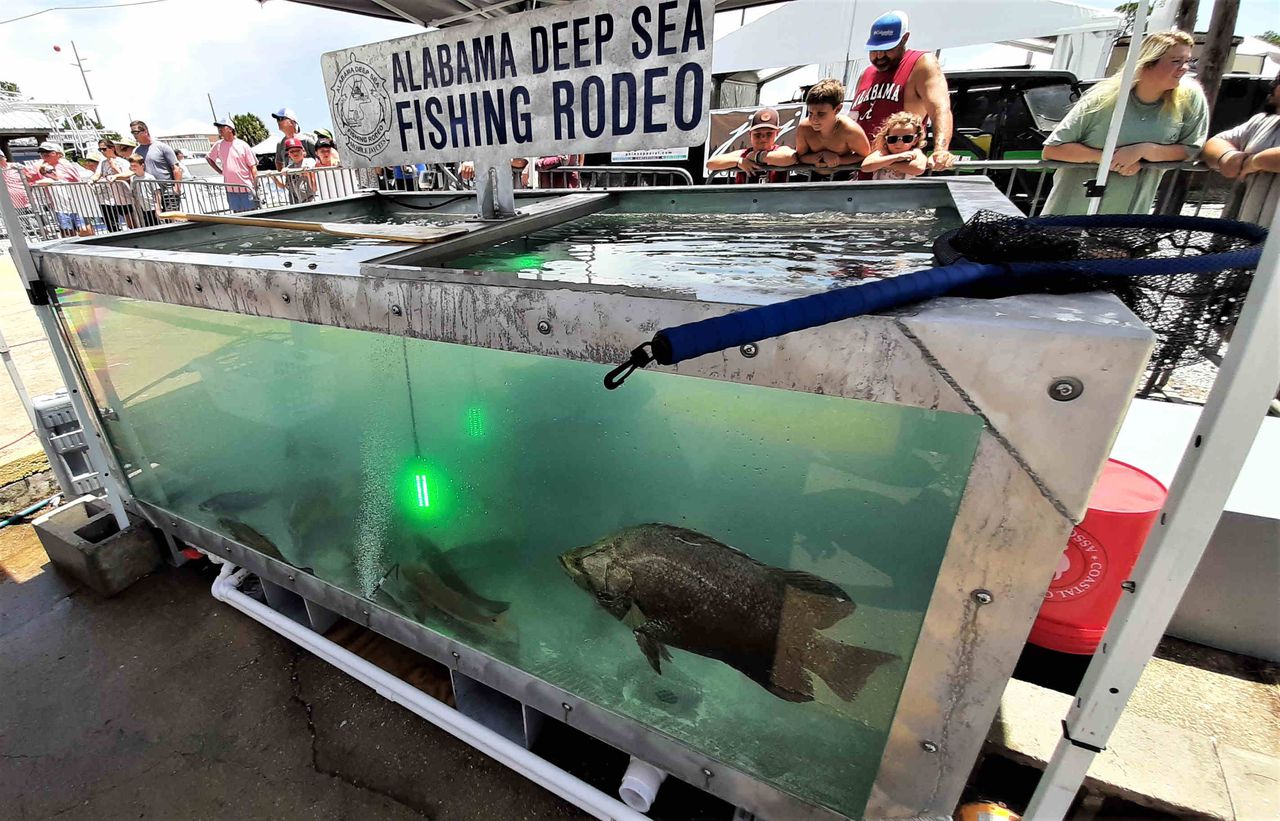 Alabama Deep Sea Fishing Rodeo sets hook for 90th edition