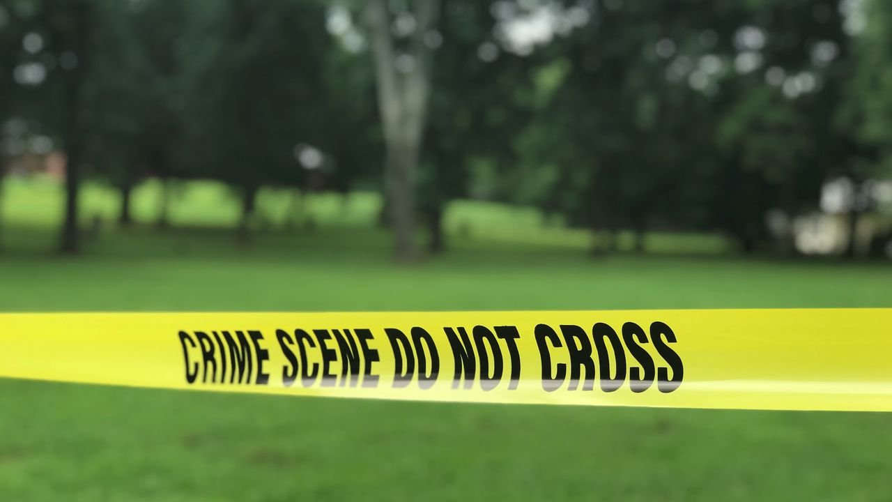 Alabama man fatally mauled by dogs, not shot as investigators initially thought