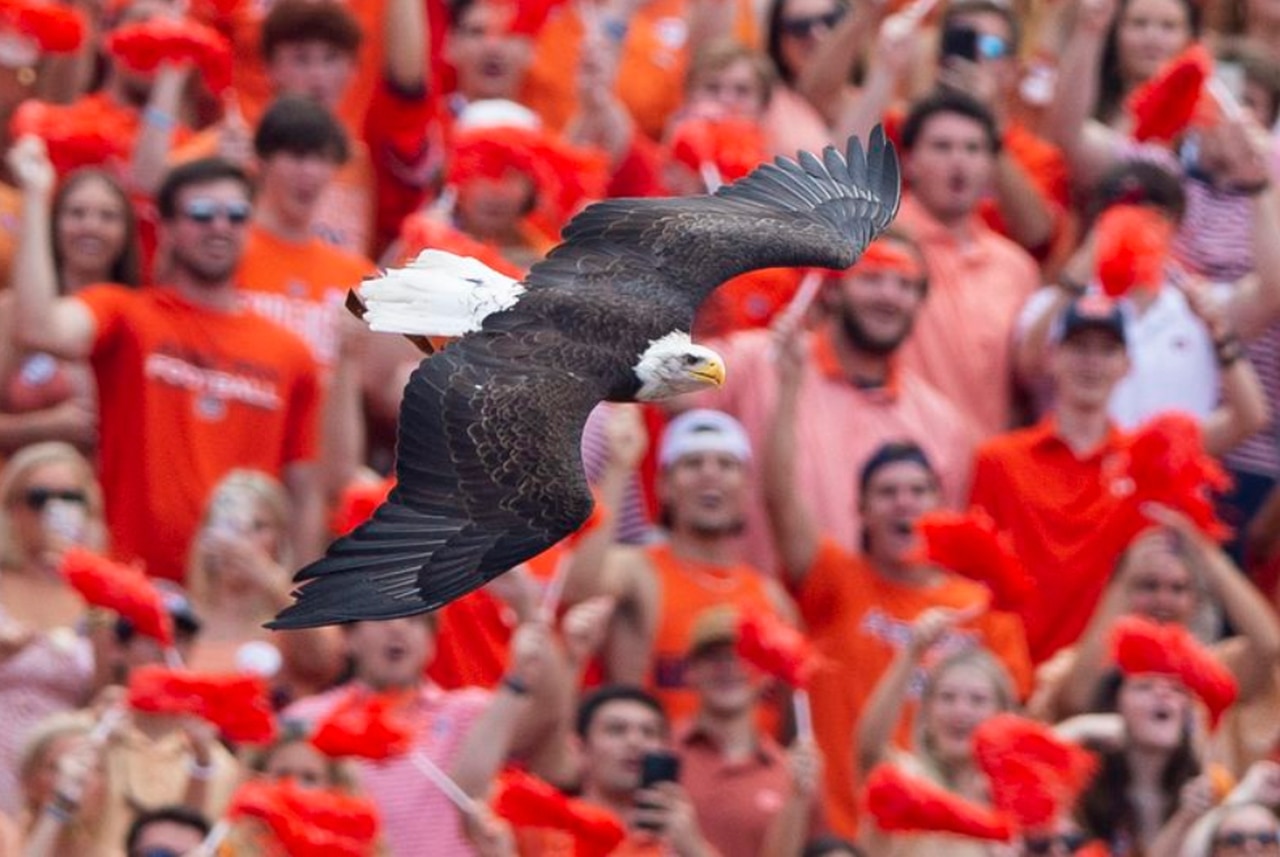 Auburn football adds six new and improved field-level suites to Jordan-Hare Stadium