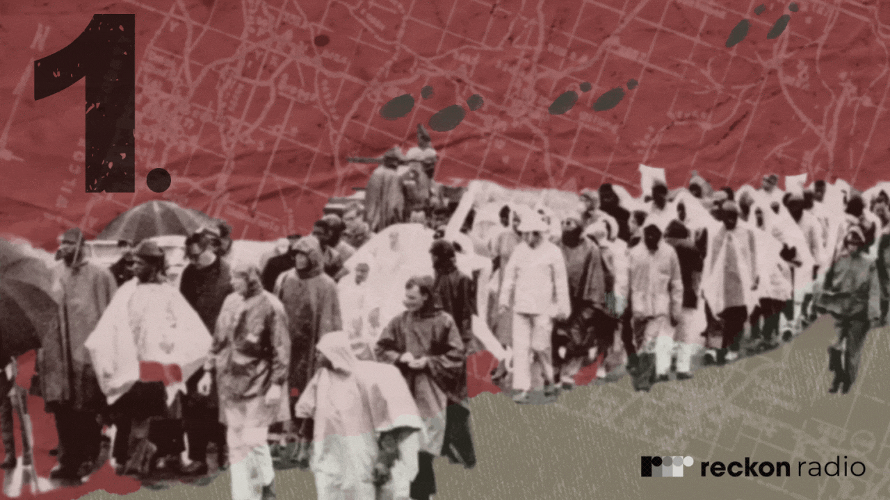 Between Selma and Montgomery, a Black Panther is Born