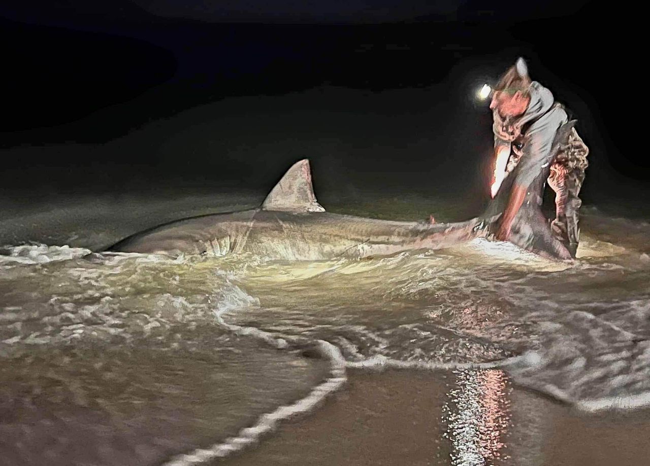 Florida county, citing Bible, Ben Franklin, shoot down beach shark fishing restrictions