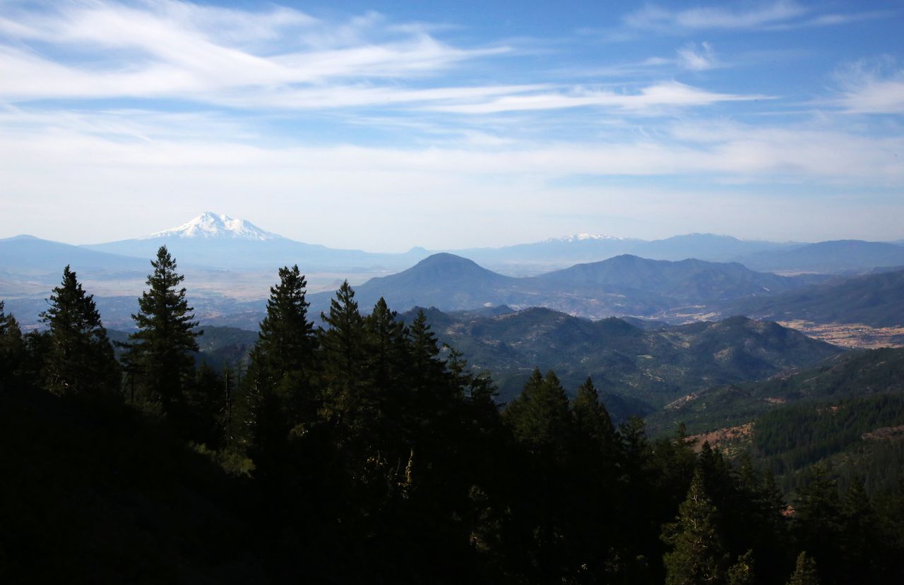 Preserving Biodiversity and Water Resources: The Vital Role of Forests in the Fight Against Climate Change