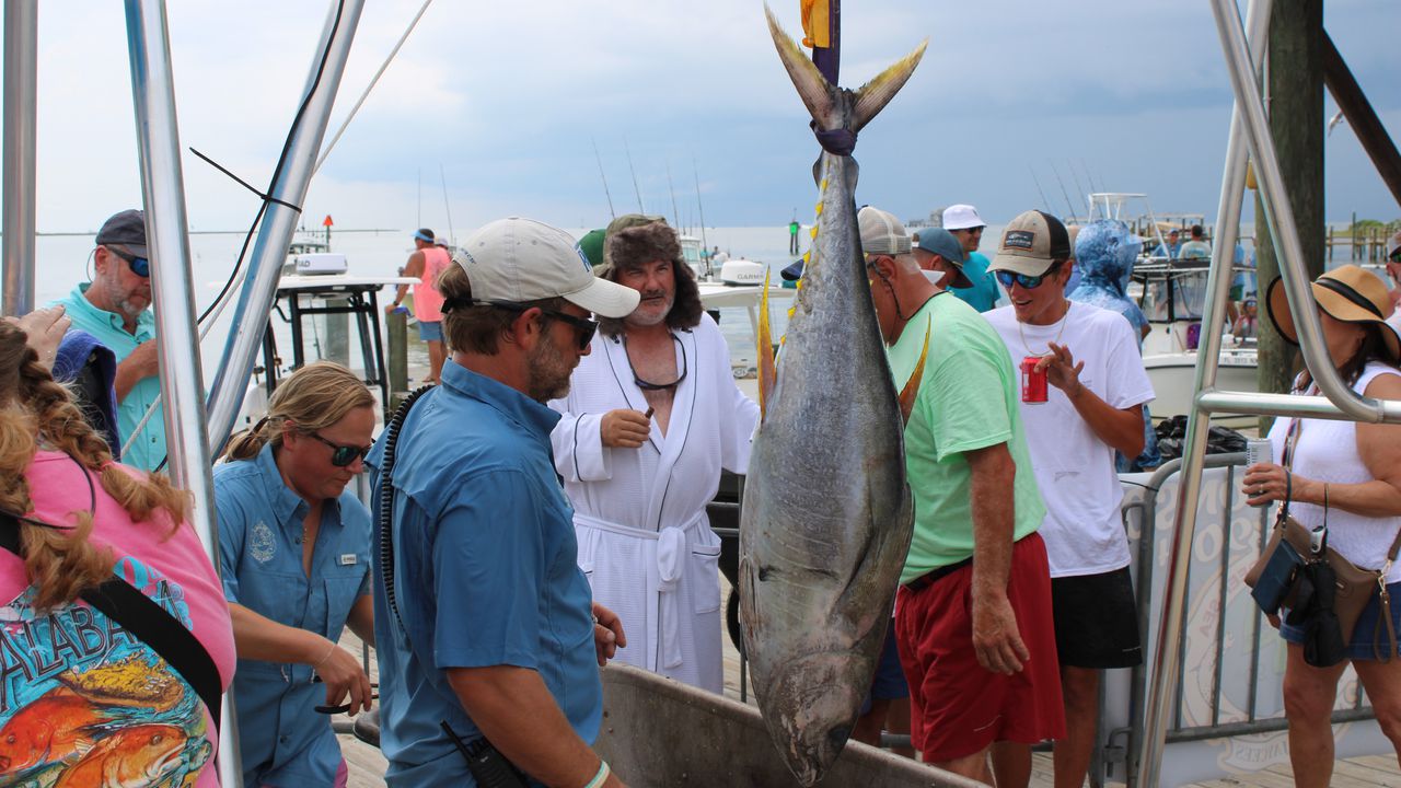 Sharks, a Shipp and Cousin Eddie: What we saw at the Alabama Deep Sea Fishing Rodeo