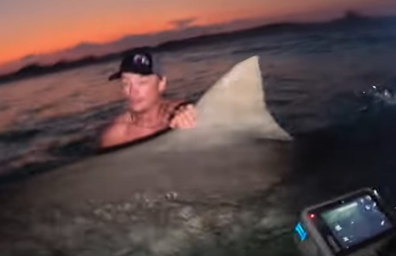 Watch a couple on honeymoon in Florida reel in an 800-pound tiger shark