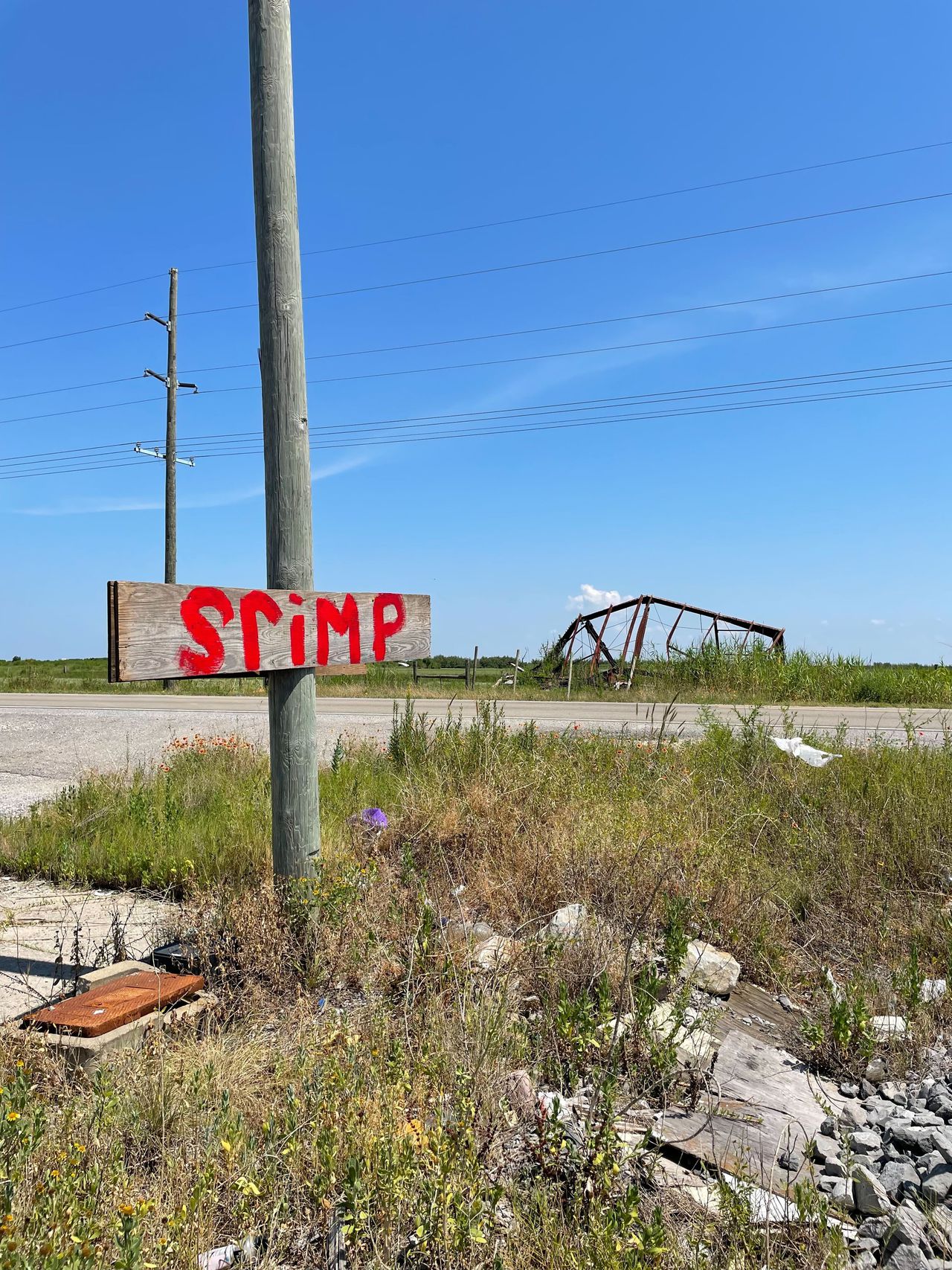 What you should know about The Shrimpocalypse, the wipeout of a time-honored US industry