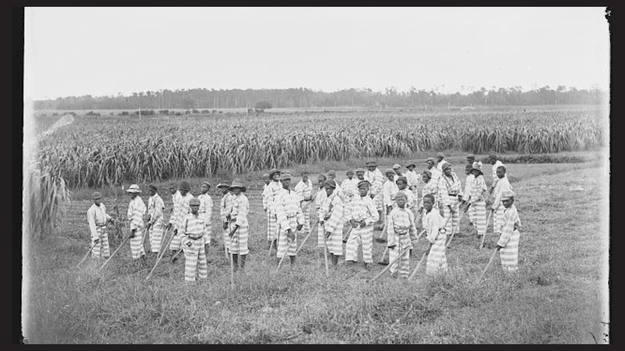 Juvenile convicts at work in the fields