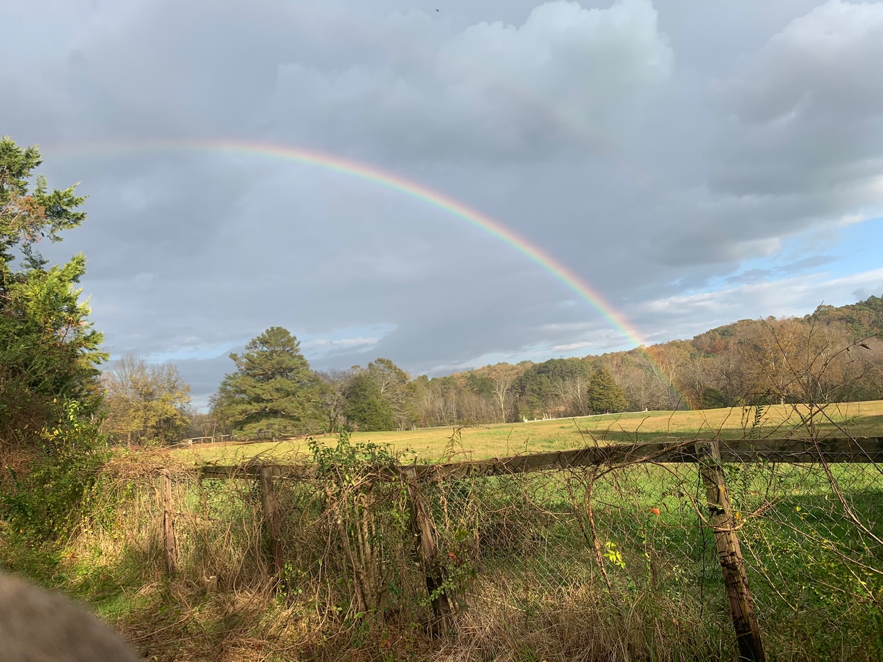 Alabama Power drops plan to seize land on Chandler Mountain