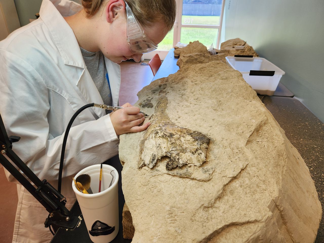 Alabama HS student discovers fossil whale