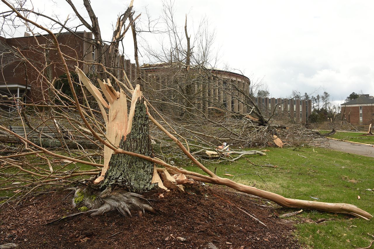 Birmingham company alleges JSU owes millions for tornado cleanup