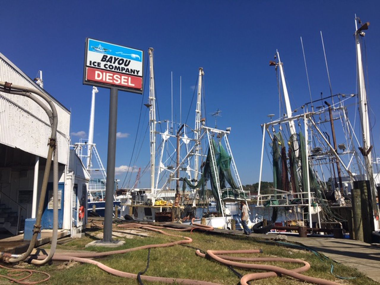 Bridge toll, shrimping woes: Down in Alabama
