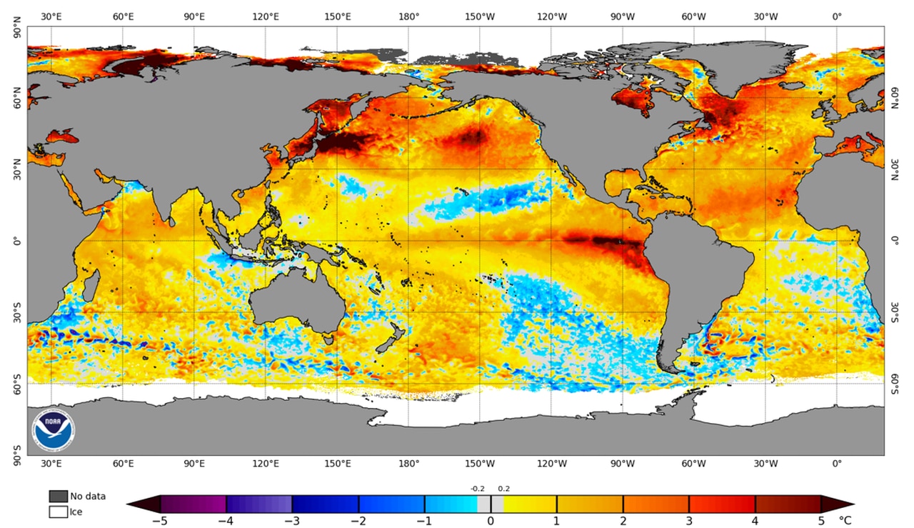 Global water temperature rises