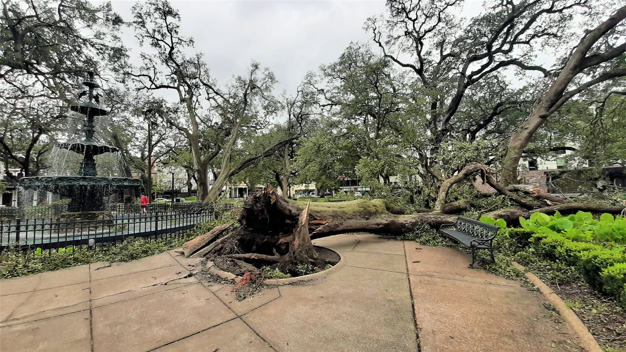 Mobileâs Bienville Square to close for months of renovation work