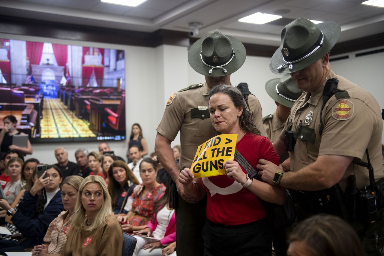 Tennessee House cannot ban gun control signs after 3 people kicked out of meeting, judge says