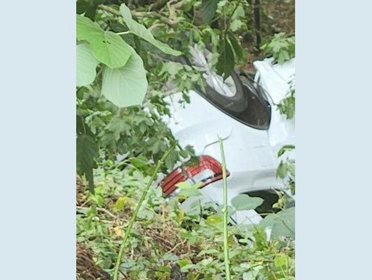 Woman killed when SUV crashes into tree in northern Jefferson County