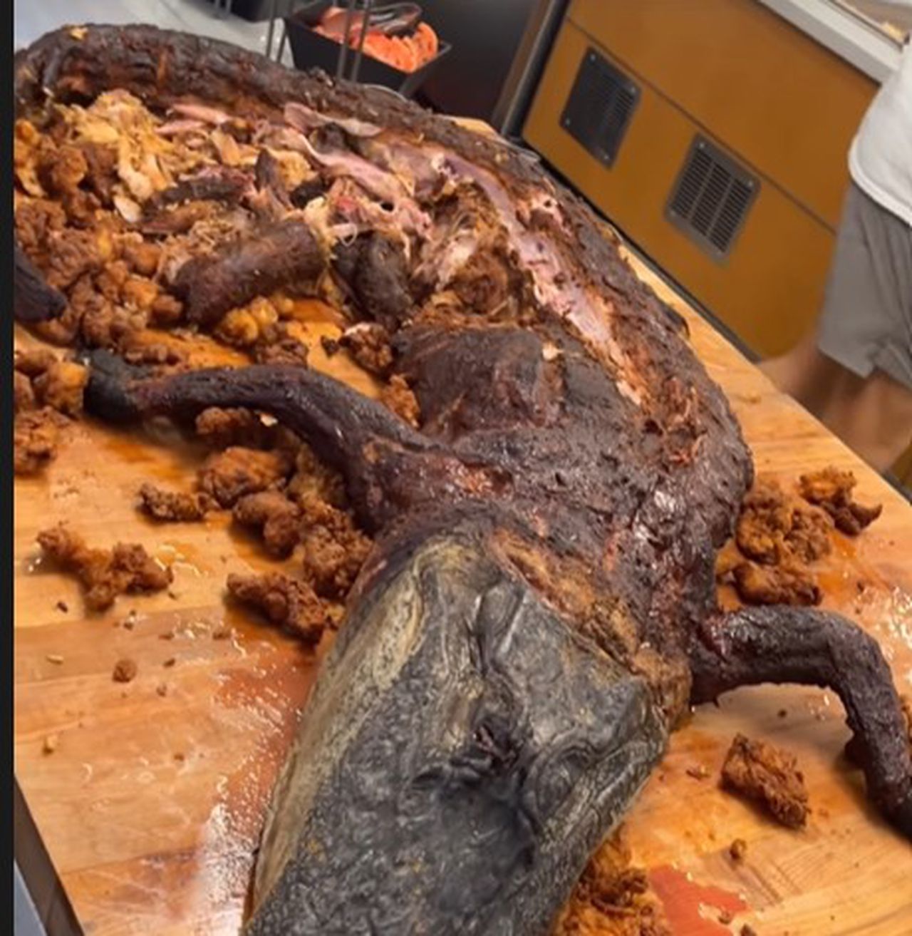 Alabama serves alligator in Crimson Tide cafeteria ahead of game with South Florida