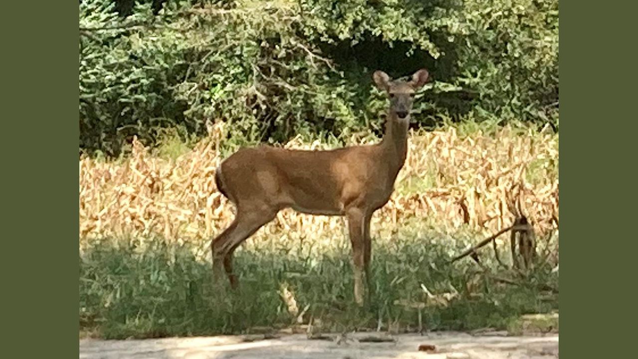 Amanda Walker: It is September in Alabama