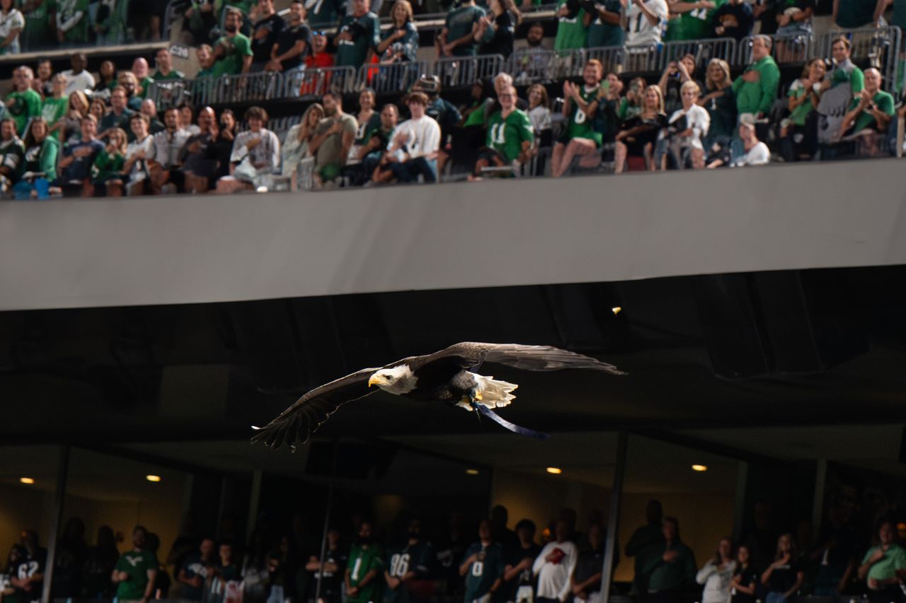 Auburn eagle flight tradition made it to the NFL. It wonât be the last time.