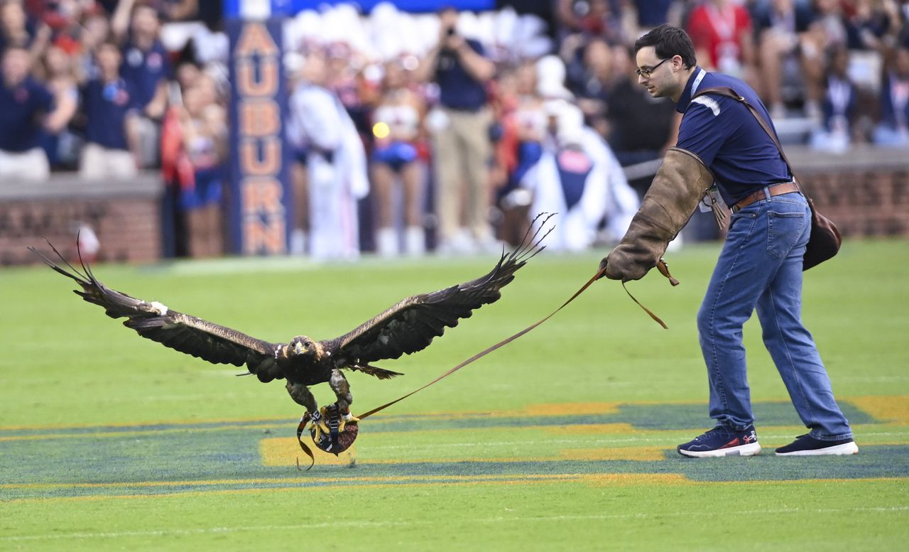 Auburn football receives 1 vote in AP Top 25, fourth out of SEC West teams