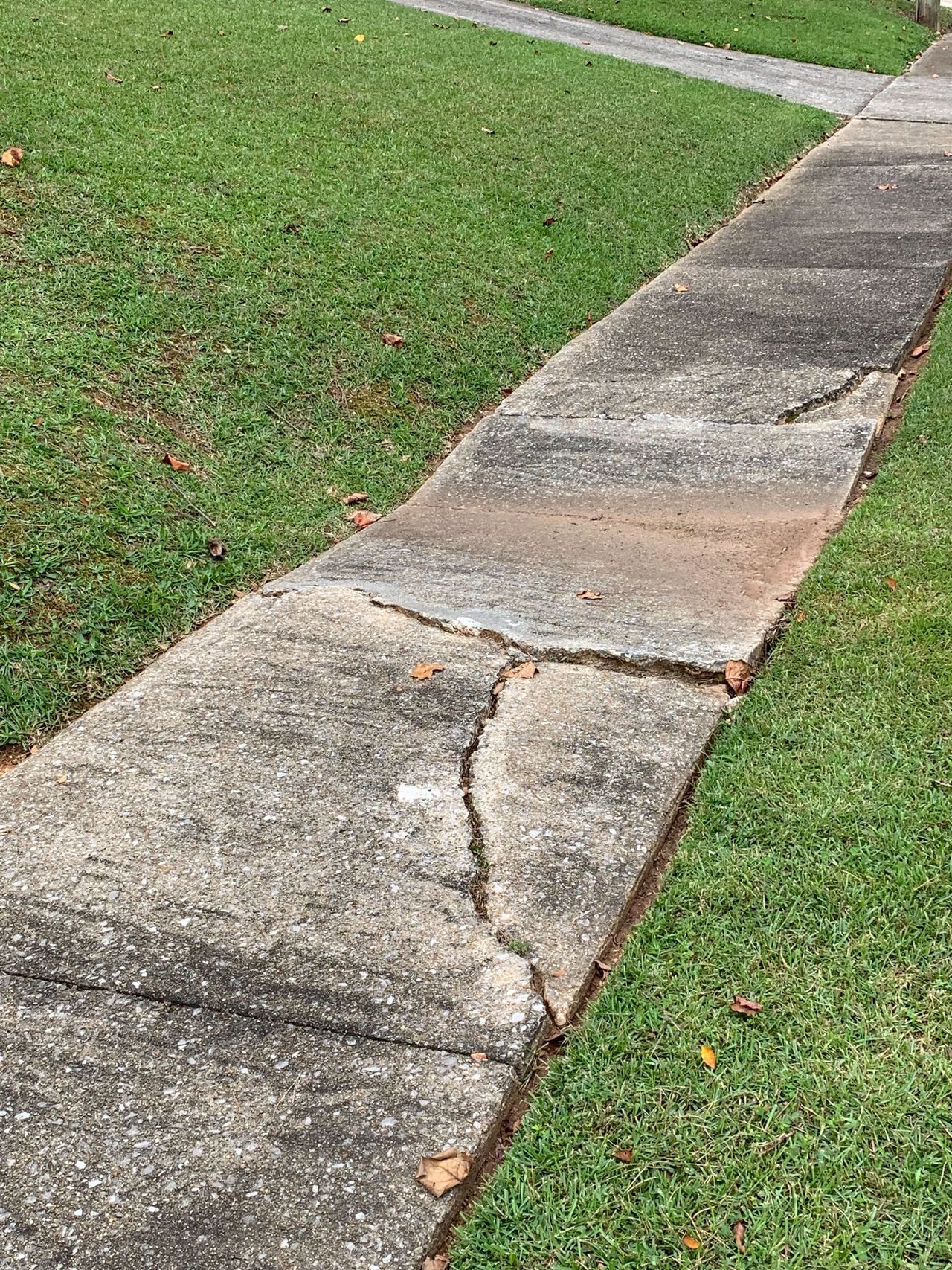 Birmingham city councilor calls Southside sidewalks âa disasterâ