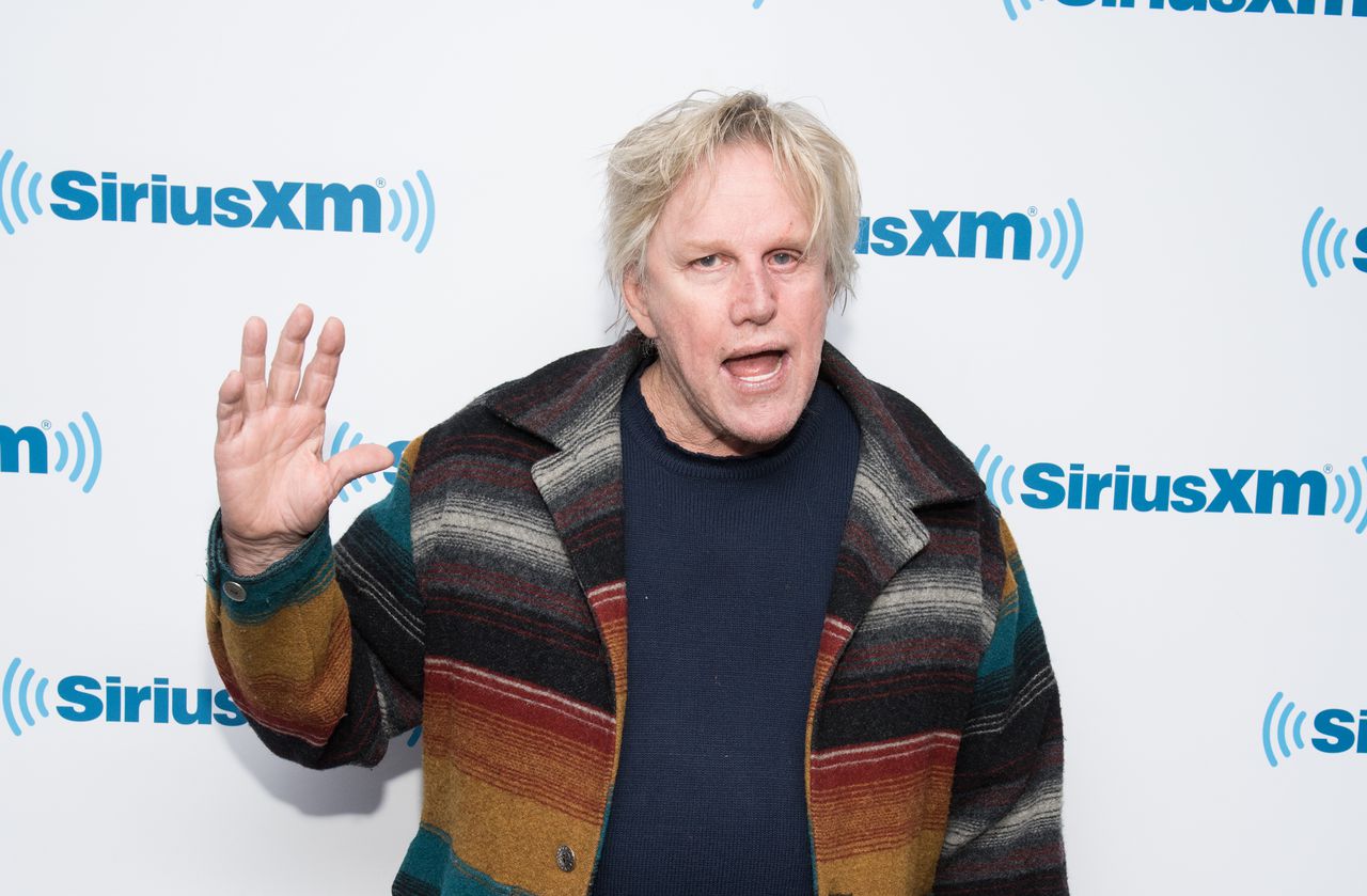 Gary Busey, allegedly in Malibu hit-and-run, tells woman: âIâm private,â drives away