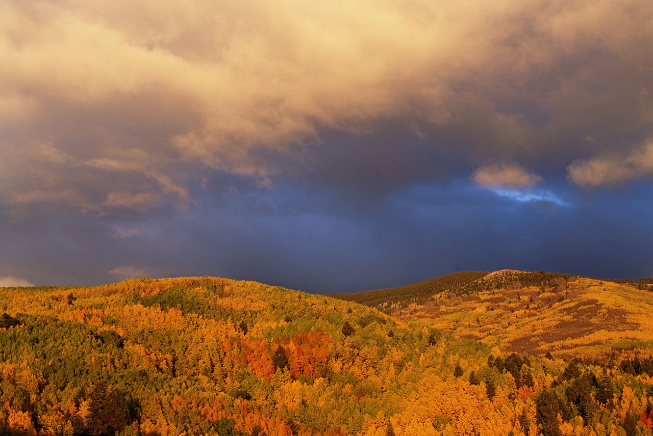 FALL FOLIAGE IN TAOS, NEW MEXICO