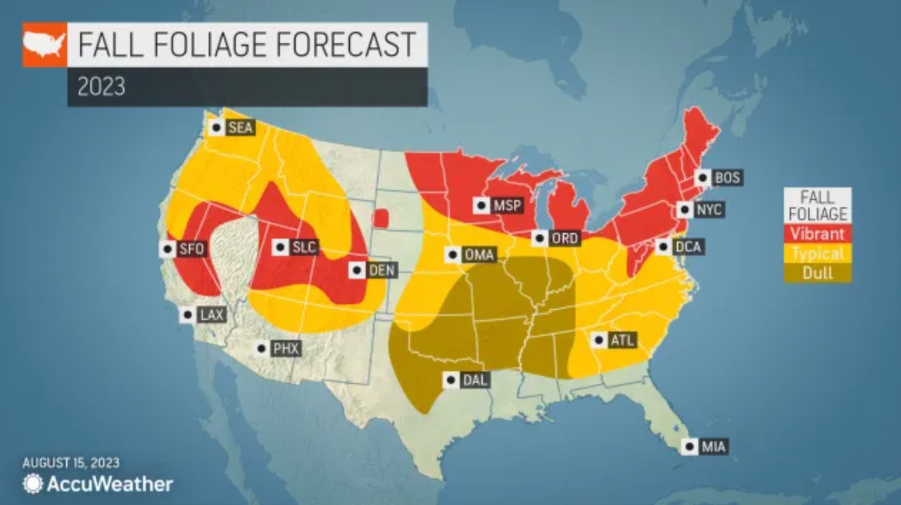 How climate change is muting fall colors