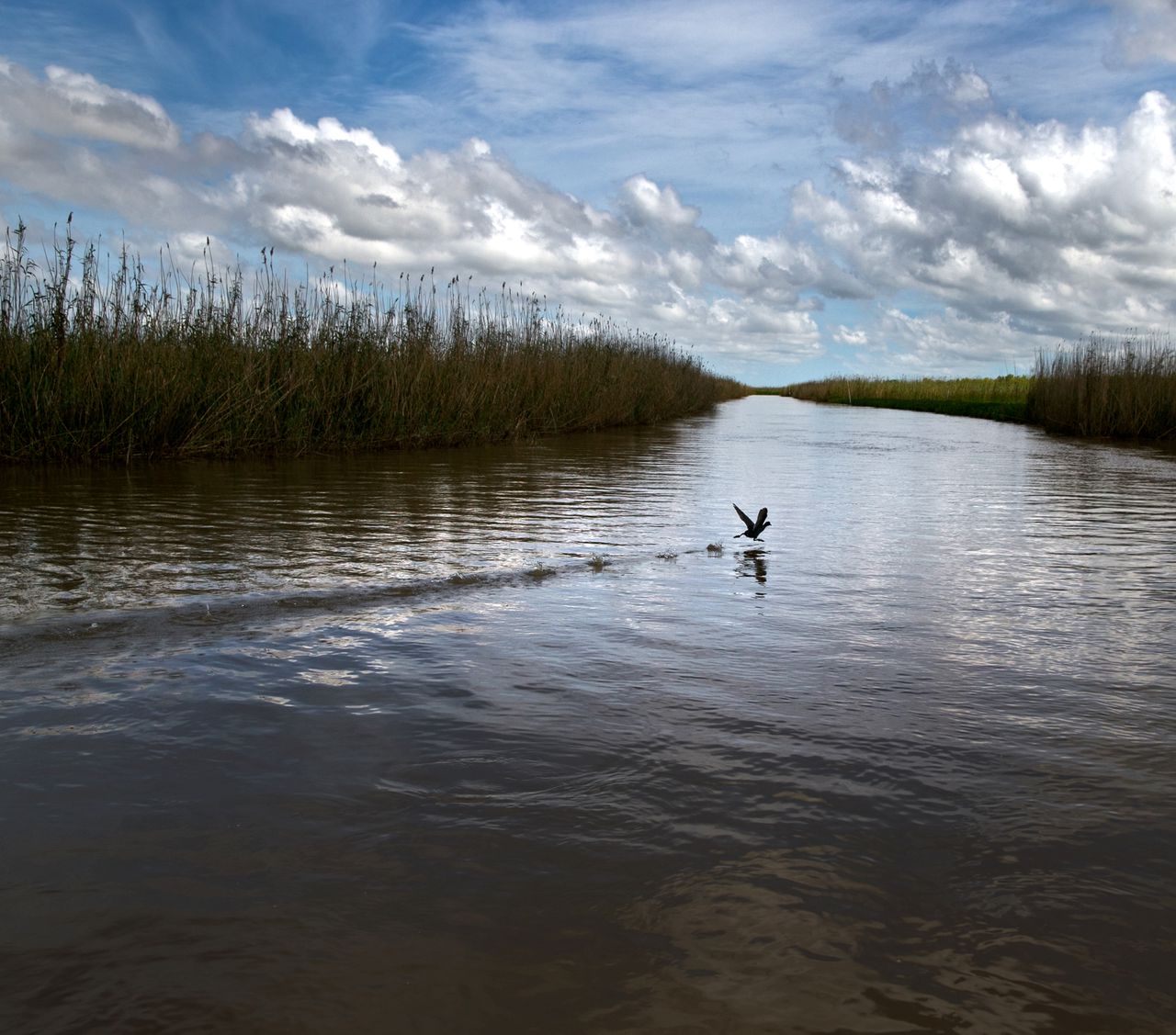 Man charged with statutory rape in North Carolina faked kayaking death, Louisiana deputies say