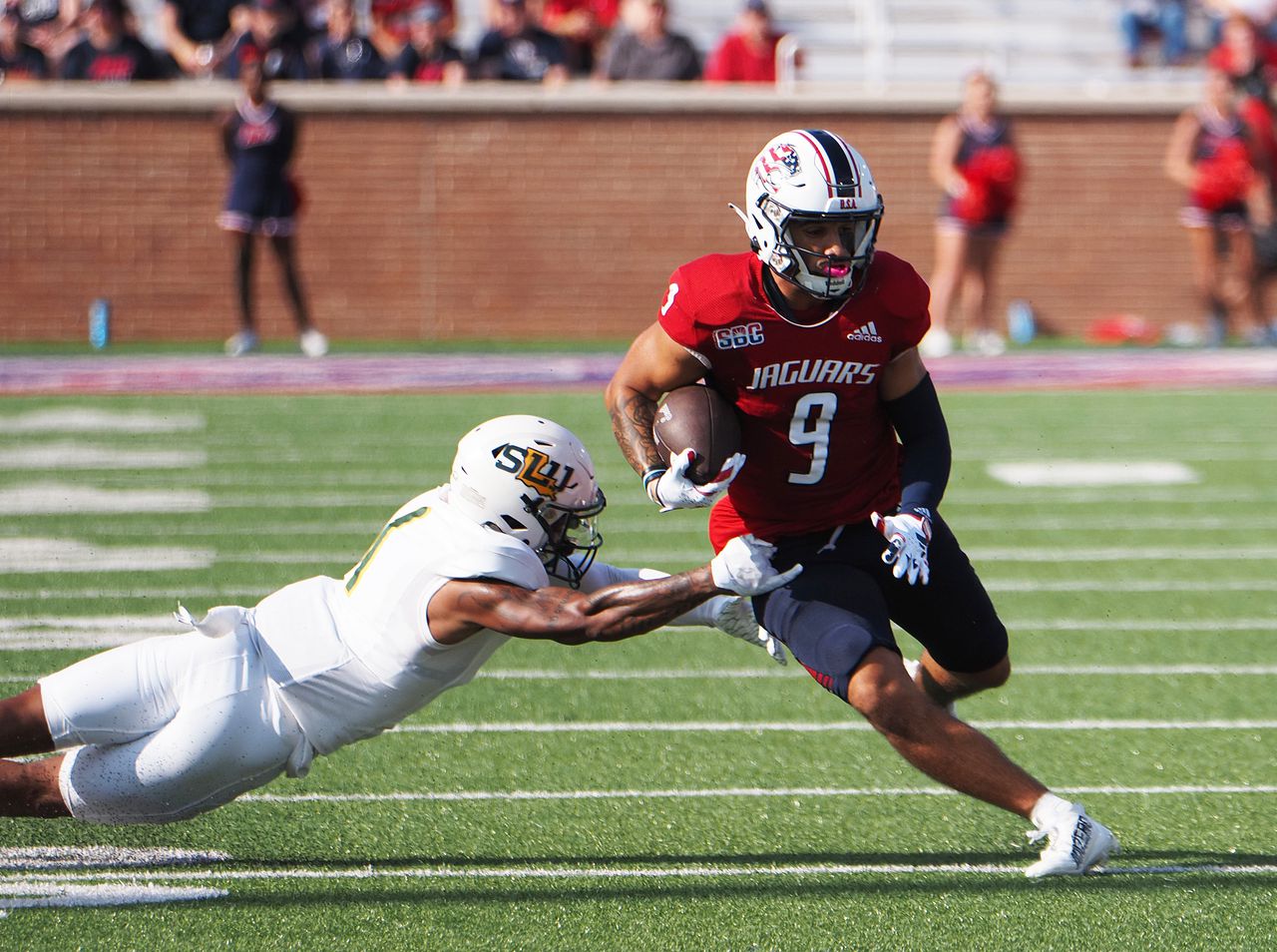 South Alabama's McReynolds out for 'foreseeable futureâ