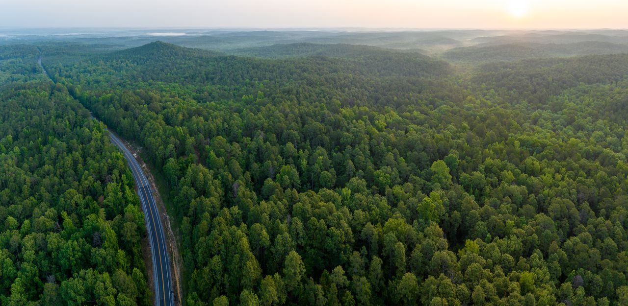 Wheeler Mountain, highest point in Bibb County, to be protected after $2 million land purchase