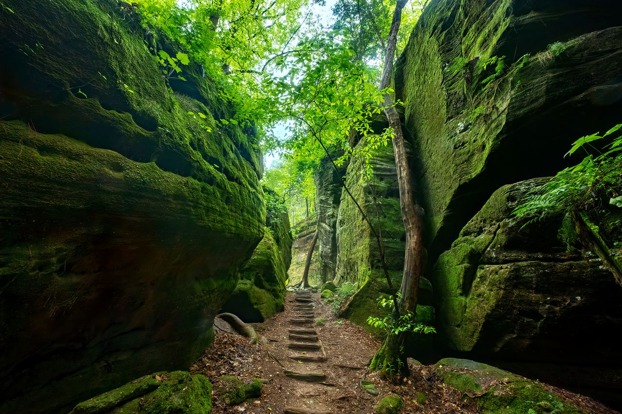 âSweet Trailsâ looks to preserve, connect Alabama landmarks