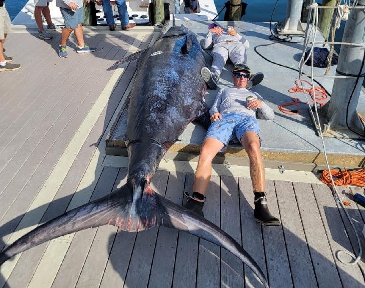 Anglers haul in blue marlin that will shatter Alabama, Gulf of Mexico records