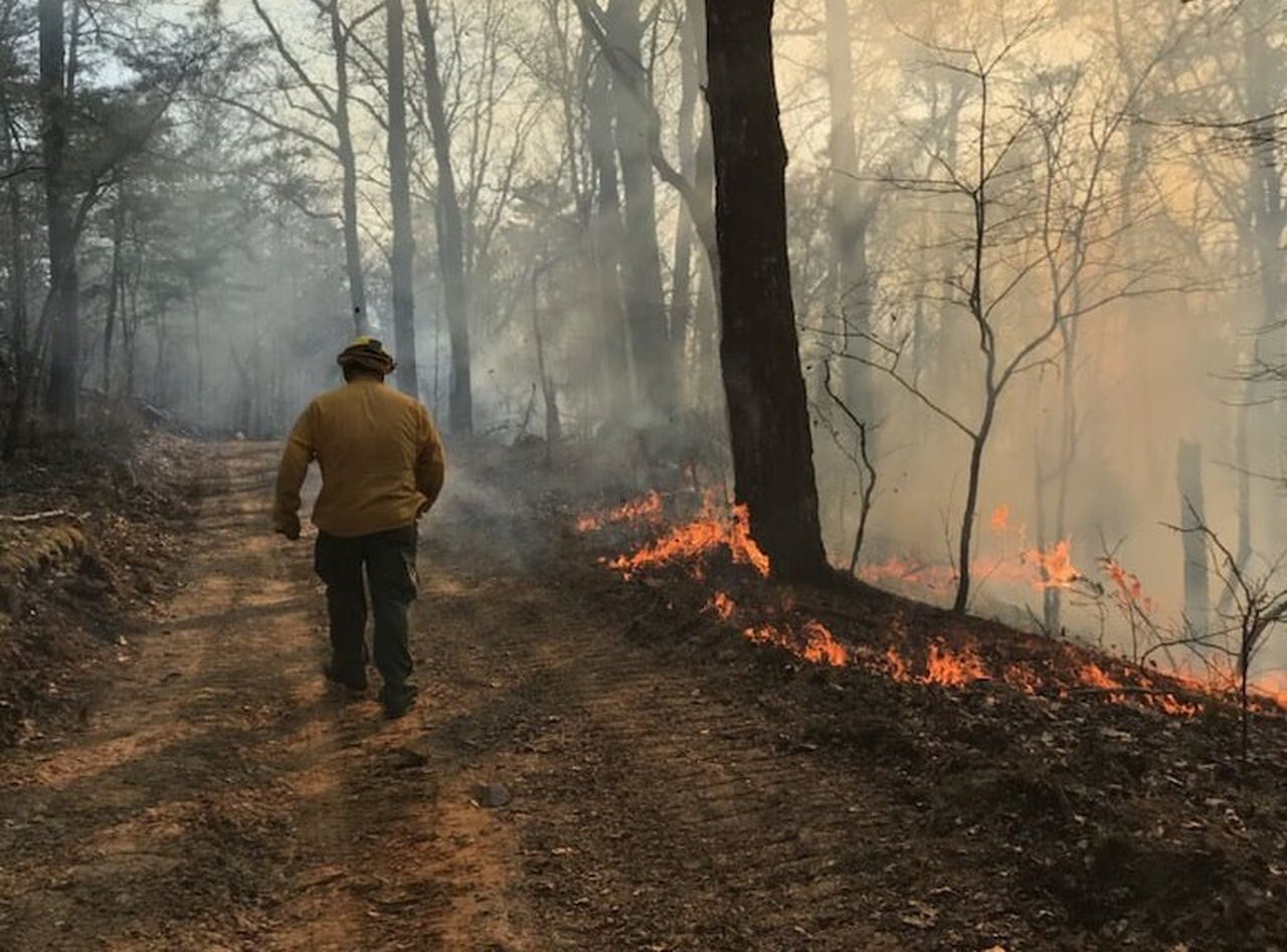 Fire alert reinstated for all of Alabamaâs counties